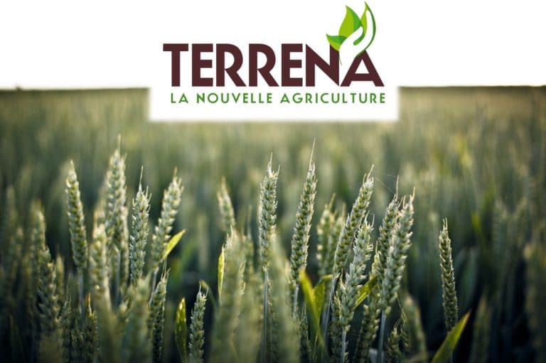 Case study thumbnail